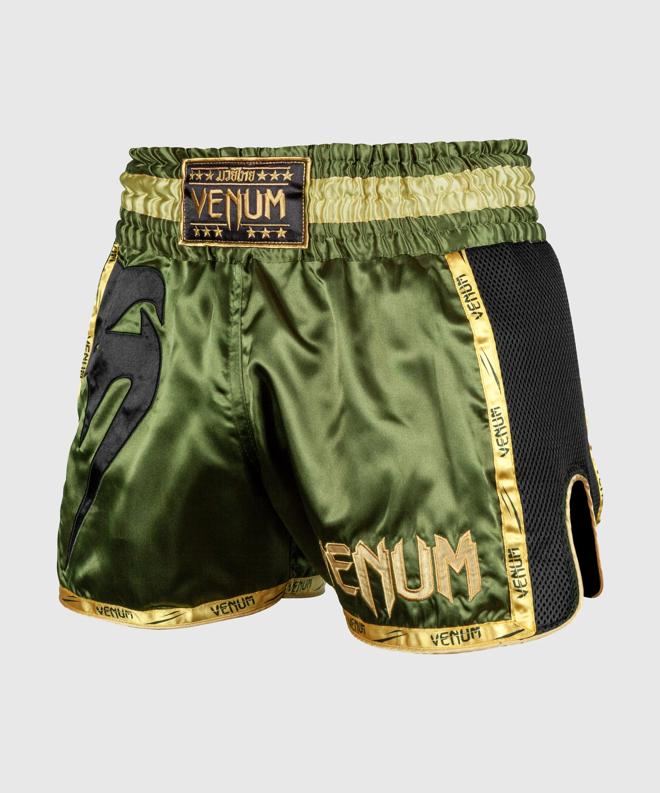 Muay Thai Shorts Venum Giant - Image 3