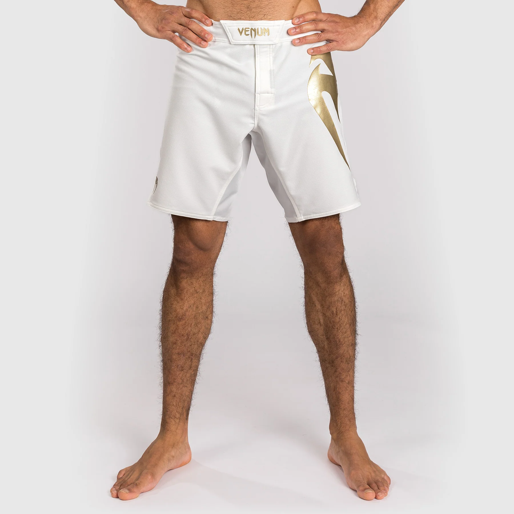 Venum Light 5.0 Fight Shorts - Weiß/Gold - Image 5