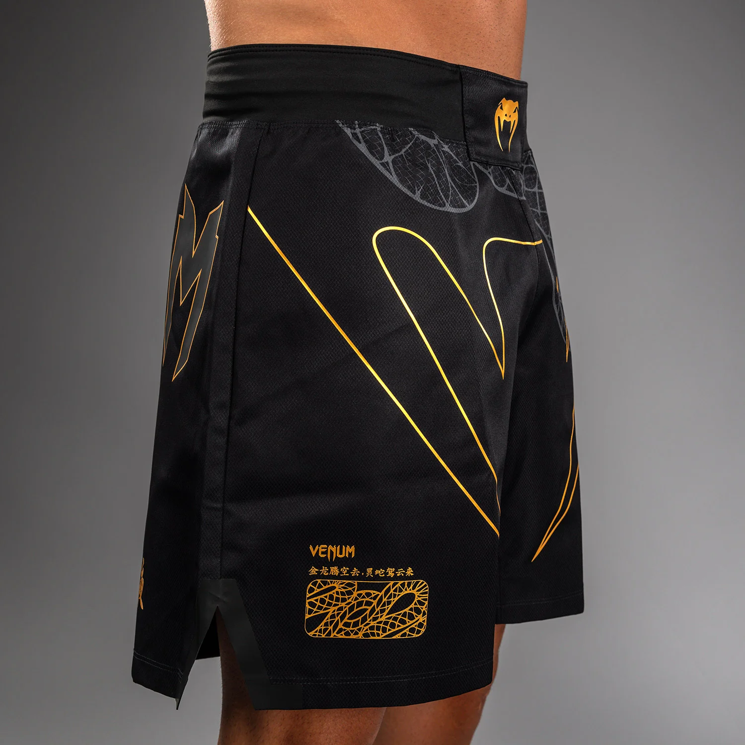 Venum Serpenti Fight Shorts – Schwarz/Silber/Gold - Image 7