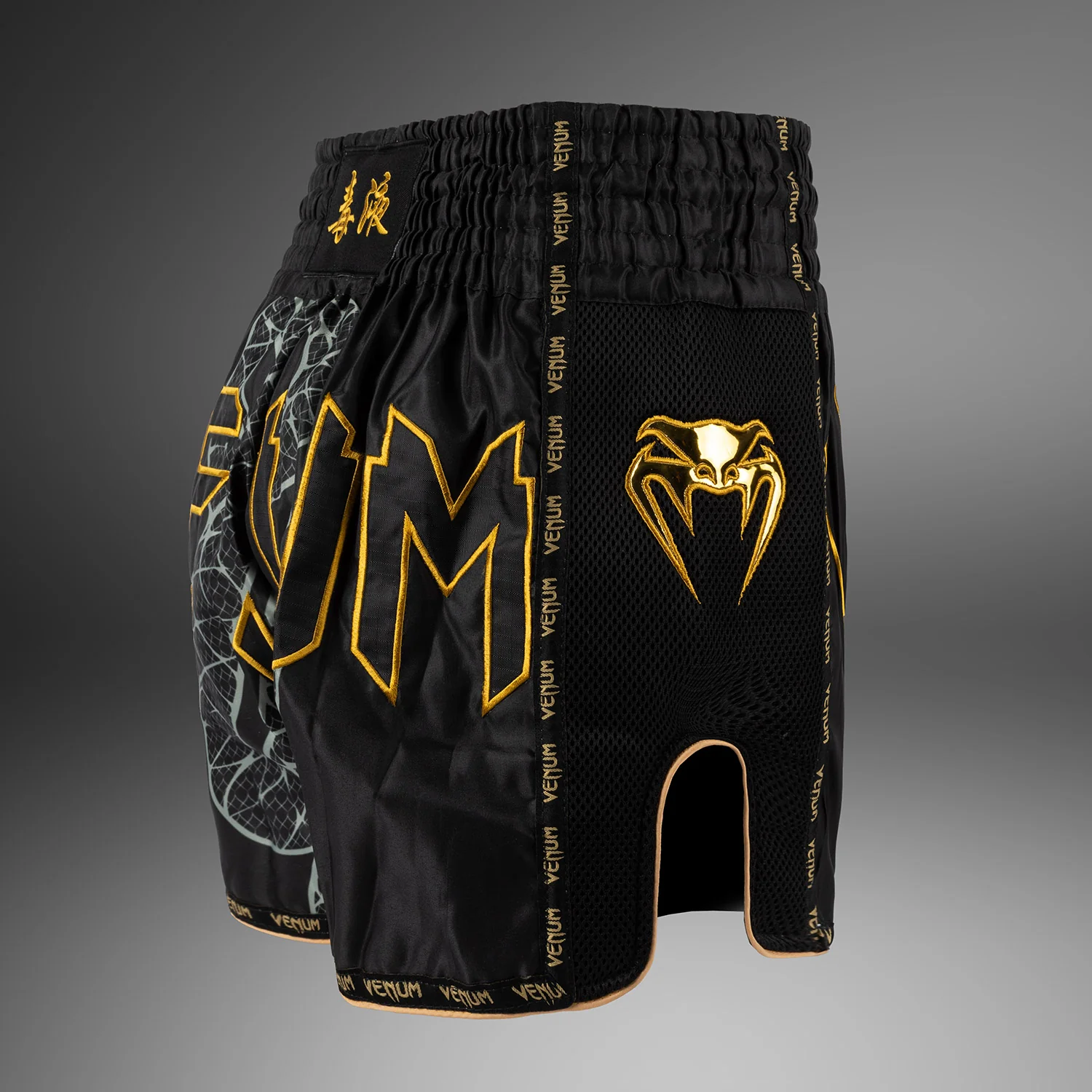 Venum Serpenti Muay Thai Shorts – Schwarz/Silber/Gold - Image 4